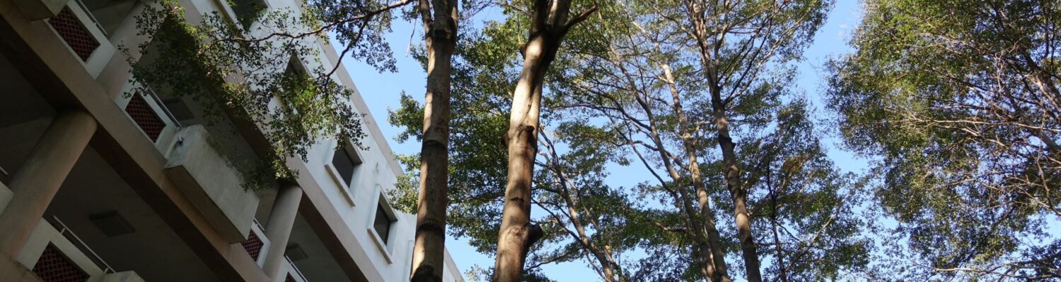 陽明交大附屬中學推展辦公室(PASSION Office)